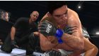 UFC Undisputed 2010