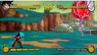 Dragon Ball Z: Burst Limit