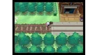 Pokémon White Version