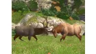 Cabela's Big Game Hunter