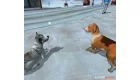 Dog's Life (PS2) (angol, komplett) (használt)