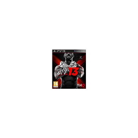 WWE 13