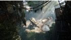 Crysis 3
