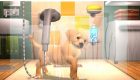 PlayStation Vita Pets