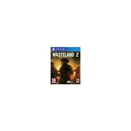 Wasteland 2 Director's Cut