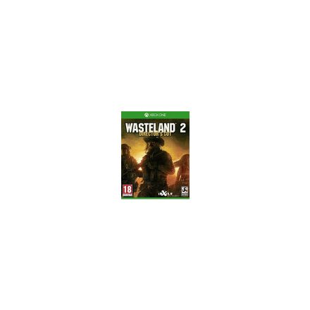 Wasteland 2 Director's Cut