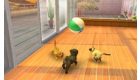 Nintendogs + Cats: Toy Poodle & New Friends (Nintendo Selects)