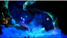 Ori and the Blind Forest Definitive Edition