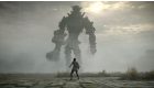 Shadow of the Colossus