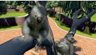 Zoo Tycoon: Ultimate Animal Collection