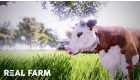 Real Farm