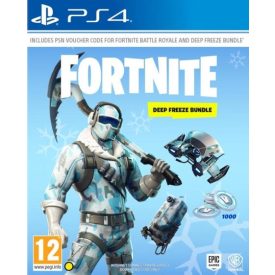 Fortnite Deep Freeze Bundle