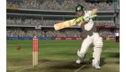 Ashes Cricket 2009