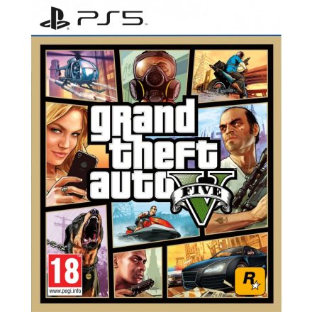 Grand Theft Auto V (GTA 5)