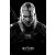 The Witcher Geralt Toxicity Poisoning poszter (61 x 91.5 cm)
