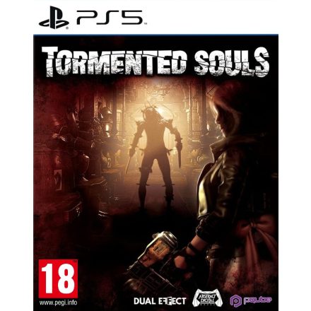 Tormented Souls (használt)
