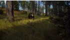 Way of the Hunter