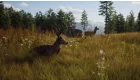Way of the Hunter