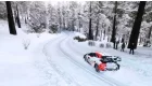 WRC Generations