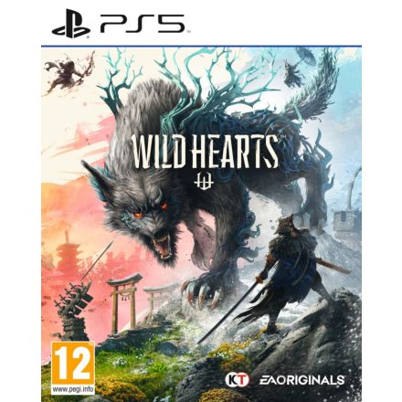 Wild Hearts (használt)