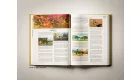 The Legend of Zelda: Tears of the Kingdom the Complete Official Guide Collector's Edition (angol nyelvű)