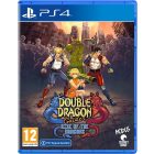 Double Dragon Gaiden: Rise Of The Dragons