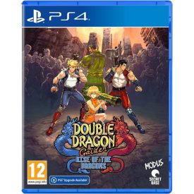 Double Dragon Gaiden: Rise Of The Dragons