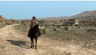 Red Dead Redemption (használt)