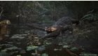 Metal Gear Solid Delta: Snake Eater Day 1 Edition