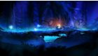 Ori and the Blind Forest Definitive Edition
