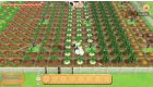 Story of Seasons: Pioneers of Olive Town (használt)