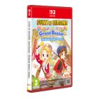 Story of Seasons Grand Bazaar
