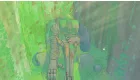 Hoa 2