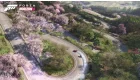 Forza Horizon 6