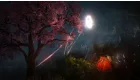 Black Desert Prestige Edition (használt)