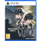 Wuthering Waves PS5 Deluxe Collection