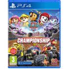 PAW Patrol™ Rescue Wheels™: Championship