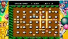 Super Bomberman Collection