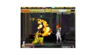 NeoGeo AES+ - Garou: Mark of the Wolves