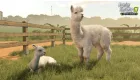 Farming Simulator 25: Beans & Alpacas Edition
