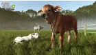 Farming Simulator 25: Beans & Alpacas Edition