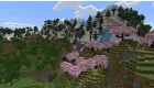Minecraft for Nintendo Switch 2