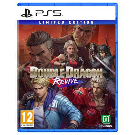 Double Dragon Revive: Limited Edition